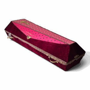 Гроб «ДК Бабочка»